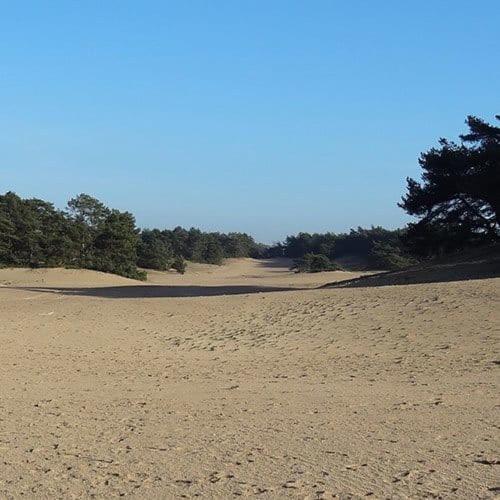 Vakantie Op De Veluwe Villa Lunteren Bagian luar foto